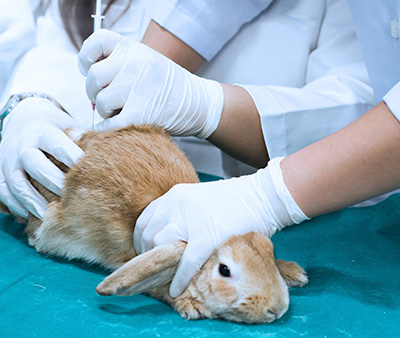 Animal Facilities Laboratory